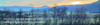 Riet Liechtenstein Ruggell nature trees forrest mountains sunrise grenn yellow blue grey